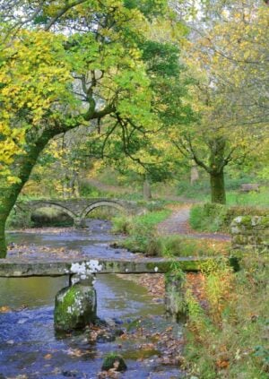 Petite Prayercard 117 (Text): Bridge