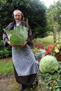 Some very large cabbages!
