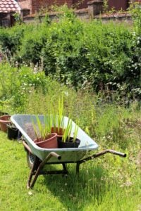 Gardening 